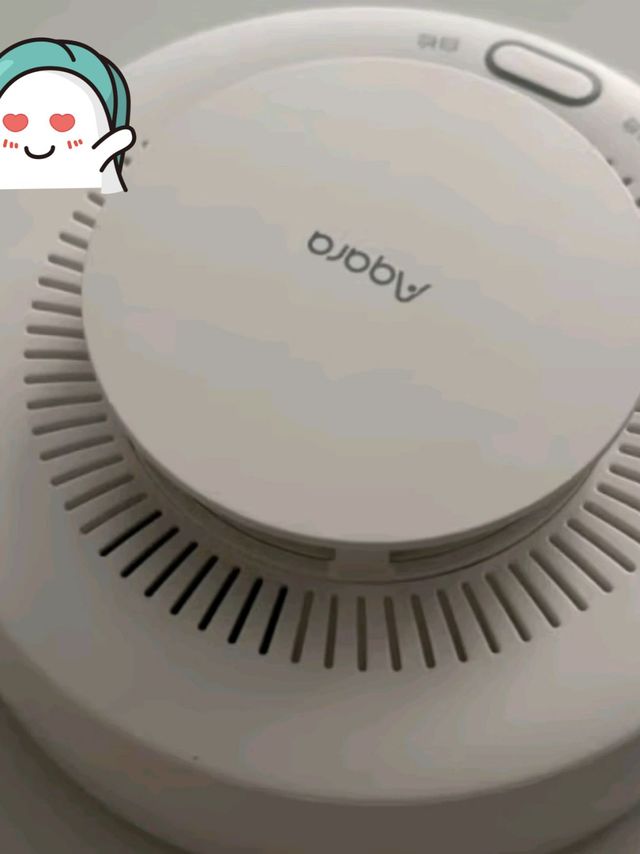 天然气泄漏及时报警 智能家居必备