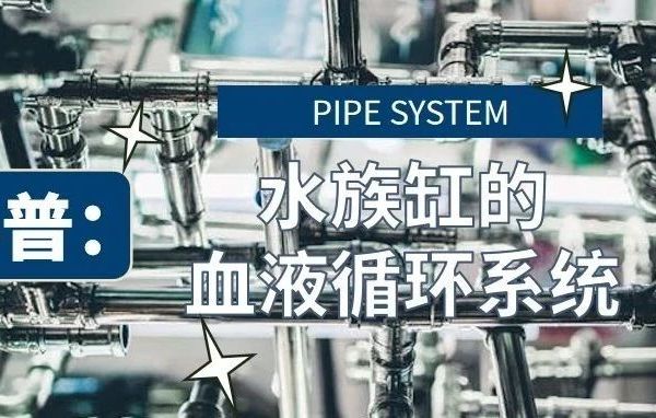 科普丨水族缸的“血液循环系统”