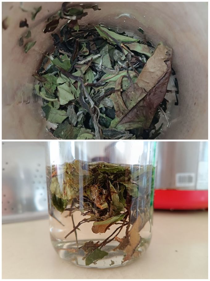 晒白金白茶