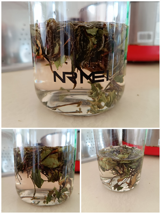 晒白金白茶