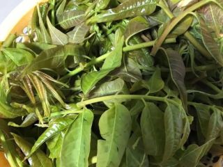 舌尖上的清明美食——香椿鱼儿