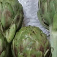 洋蓟：来自云南曲靖的绿色美味