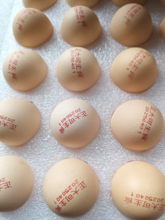 正大可生食鲜鸡蛋，安全与品质兼具的餐桌之选！