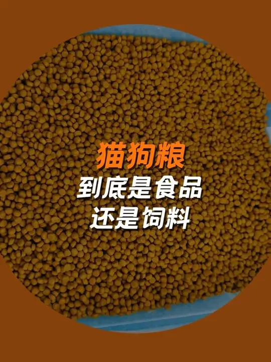 在你心里，猫狗粮到底是食品还是饲料？  #养宠人 #宠物食品   #宠物   #羽毛粉