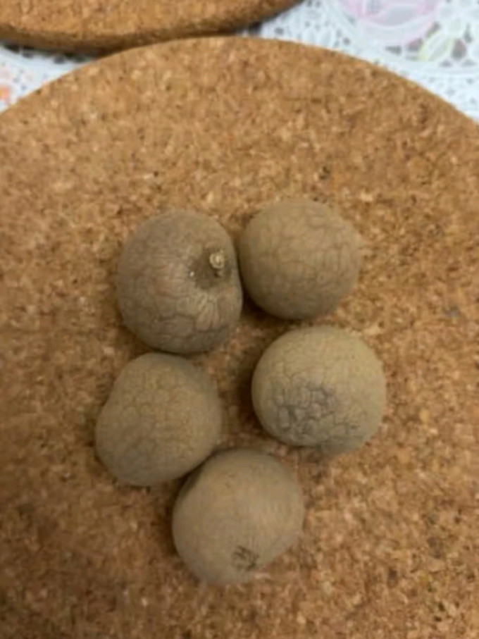 方家铺子南北干货