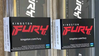 金士顿（Kingston） ddr4内存条 Beast野兽系列 Fury