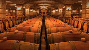 这瓶“烂葡萄”酿的酒，凭什么让贵族们争抢了400年？