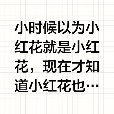 VCA测评大赏🌸 8朵小红书交考卷！