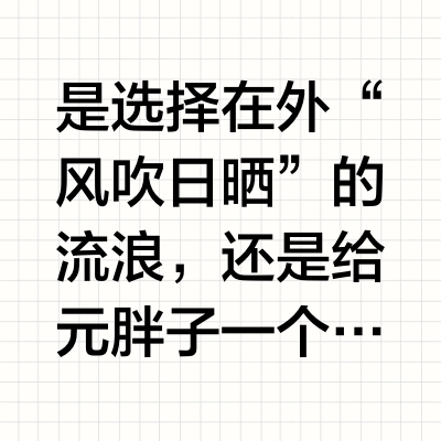 Plog|终于告别充电焦虑啦