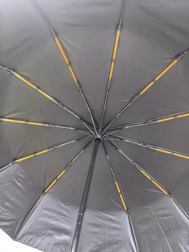 伞骨能抗台风眼，杖尖敢戳花岗岩！清明硬核出行