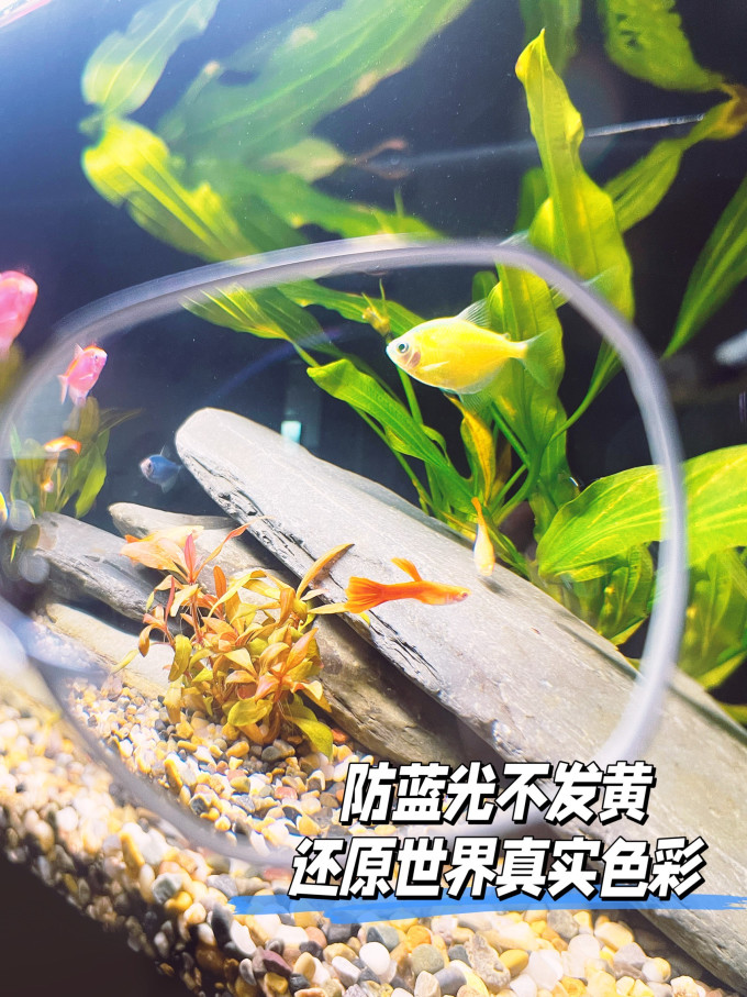 蔡司套镜