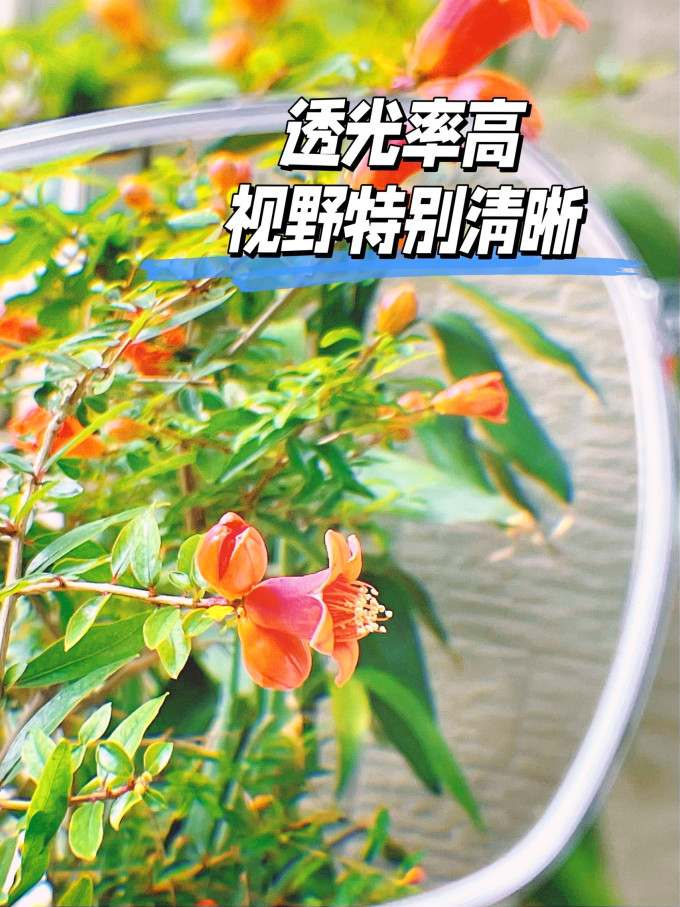 蔡司套镜