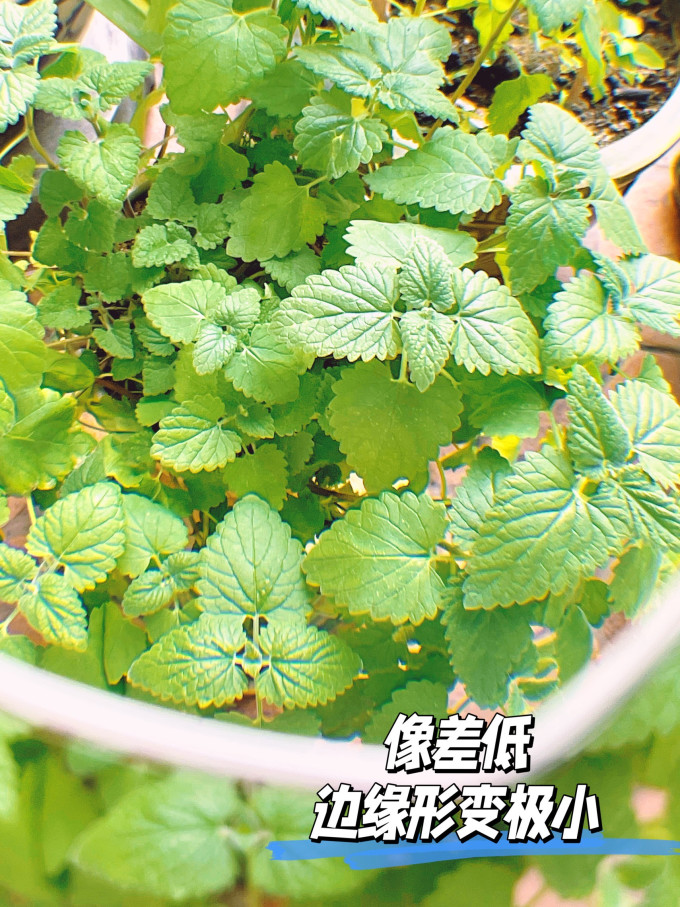 蔡司套镜