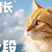 猫粮市场洞察：格局、分类与宝藏船长猫粮的独特优势