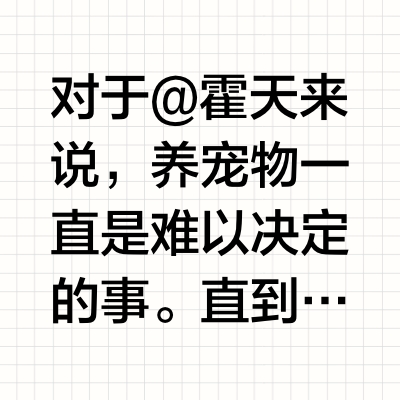 如果可以，还来做我们的小猫吧