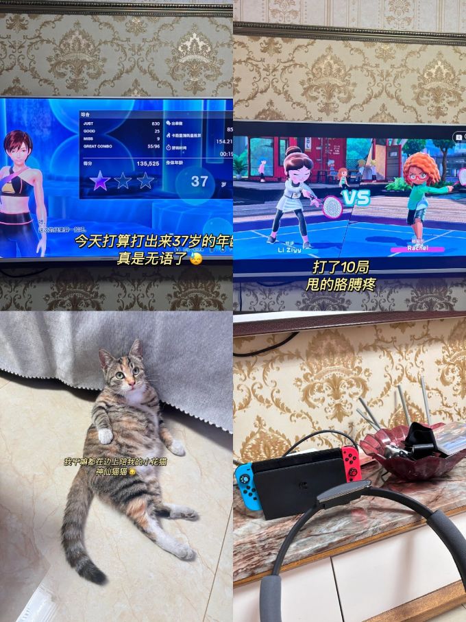 任天堂游戏软件