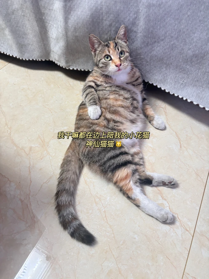 任天堂游戏软件