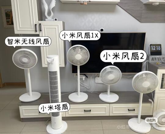 🌞2025 年夏天，小米电风扇该怎么选？
