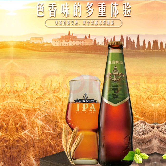 青岛啤酒啤酒