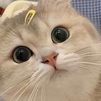 2025年性价比高的猫粮推荐，十大好口碑的猫粮品牌