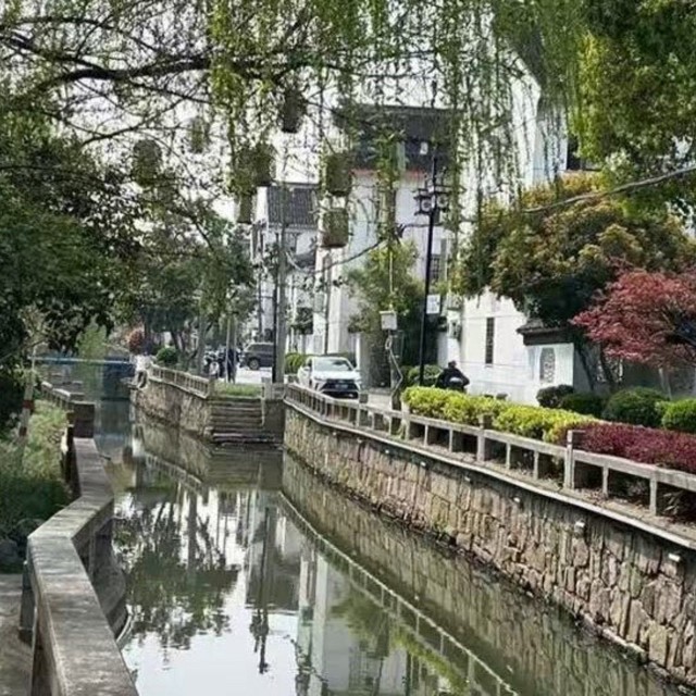 避开人群游苏州 | 春日江南此刻具象化