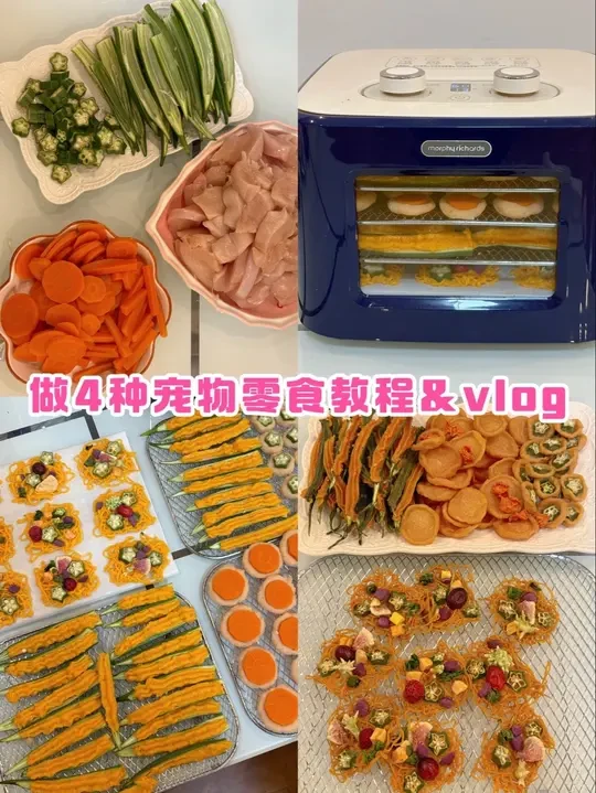 29💰自制4种宠物零食vlog#萌宠出道计划 #科学养宠攻略 #自制宠物零食 #一坨棉花糖狗狗