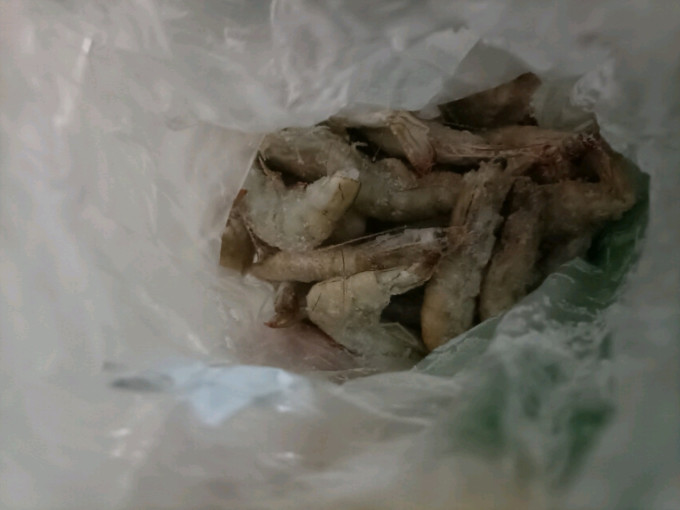 渔游记虾类