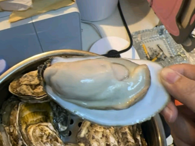 鲜京采贝类