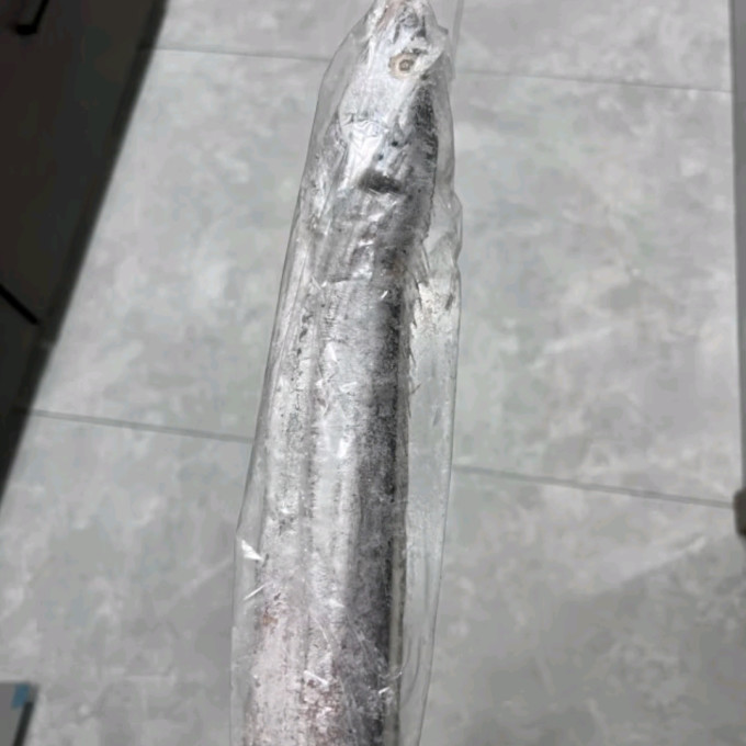 鲜京采鱼类