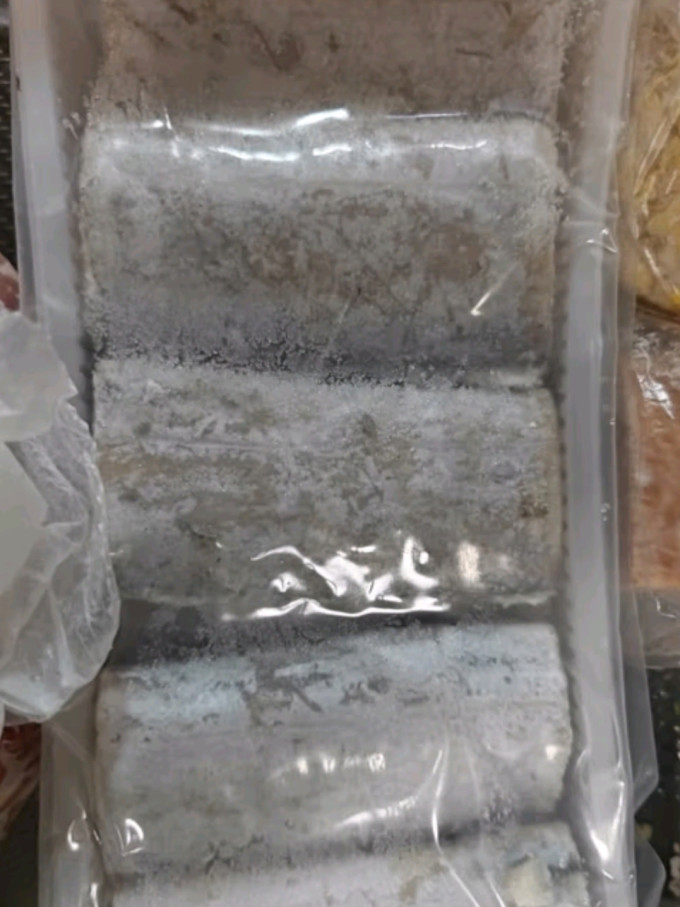 鲜京采鱼类