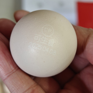 多多的“正大”鸡蛋怎么样？
