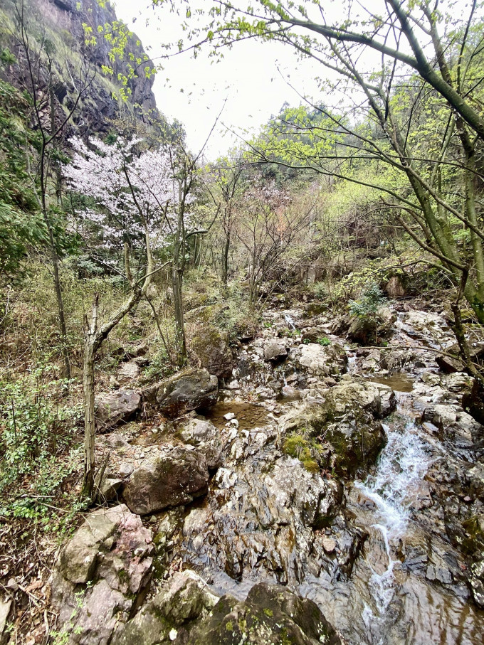 黑冰软壳