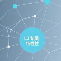 探索L3专属特性及其影响