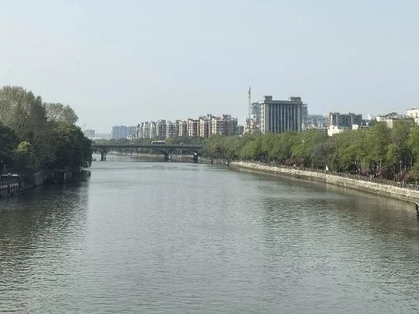电影侵权“变形记”：从单一盗版到多元危机