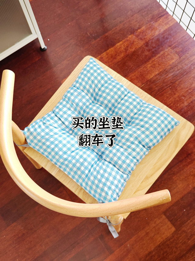 买的坐垫，翻车了…… 它那么小，嗯，那么小