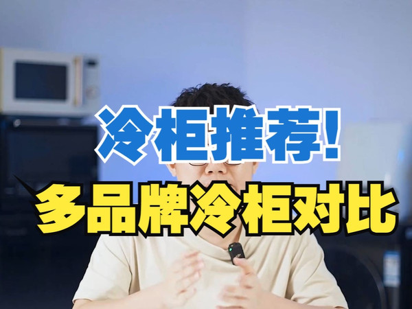 冷柜推荐！海尔 美的 澳柯玛 容声 星星 海信多品牌冷柜对比