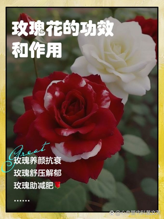 鲜花