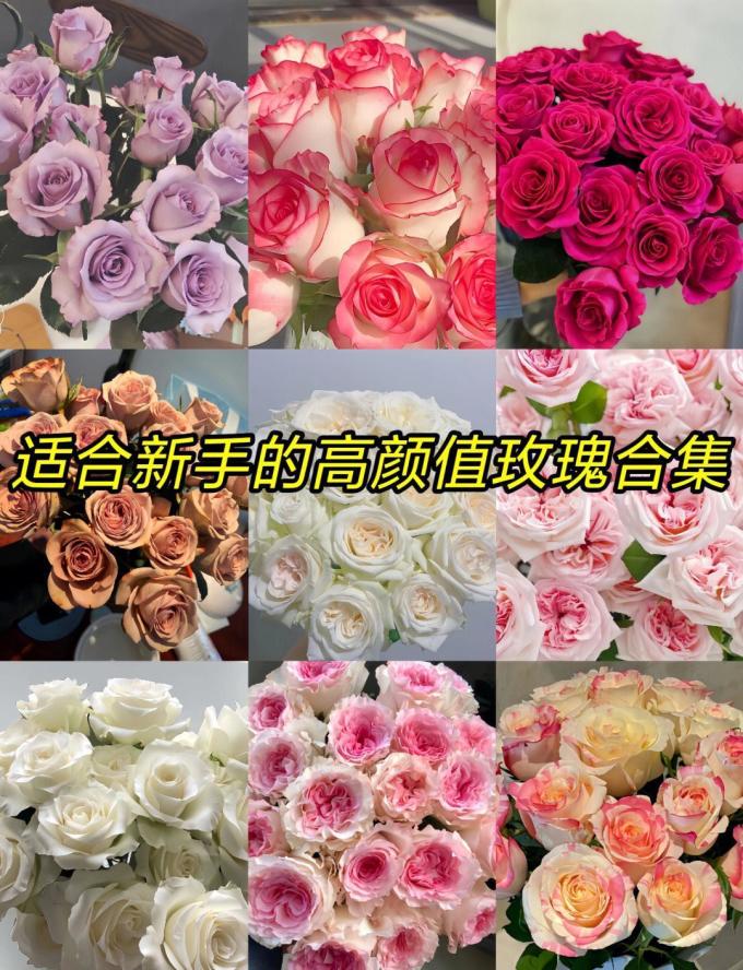 鲜花