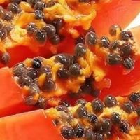 海南树上熟红心木瓜5斤装