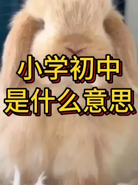 大叔家的小学初中高中大学是什么意思？ #兔子干草怎么选？