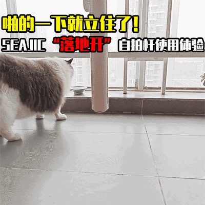 啪的一下就立住了！SEAJIC新品“落地开”自拍杆使用体验