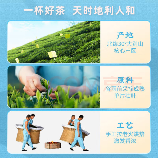 六安瓜片：绿茶中的珍品