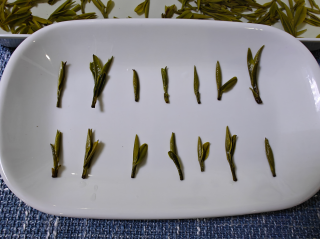 茶农阿中家的茶--明前桐城小花测评