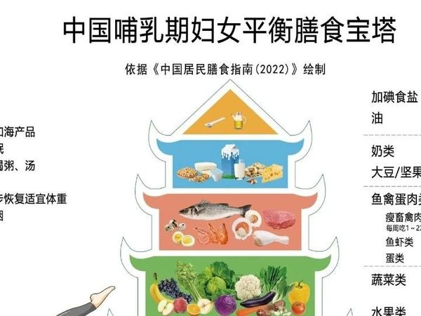 暖心孕期饮食指南 -- 呵护妈妈与宝宝的每一餐（中国孕产妇营养指南2022）