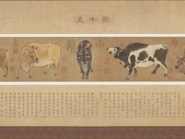 北京马甸市场邮币卡最新成交价格1208