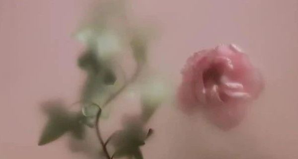 厨房小电器之多功能料理机 使用技巧及相关介绍