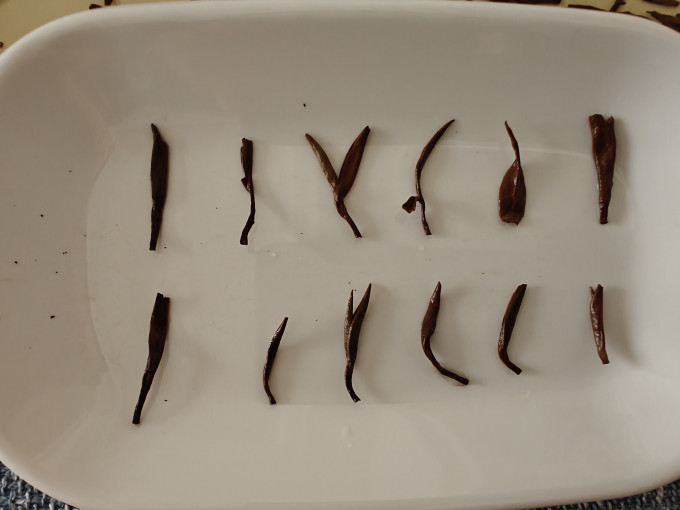 桐木诚壹红茶