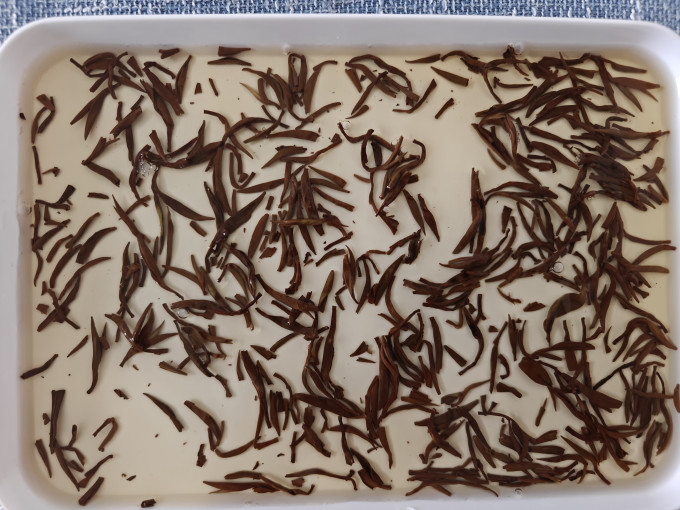 桐木诚壹红茶