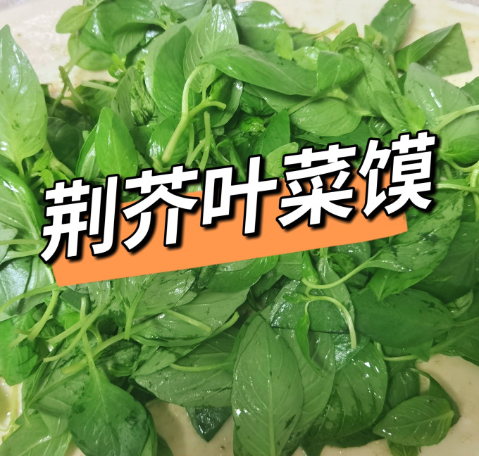 妙普乐种子