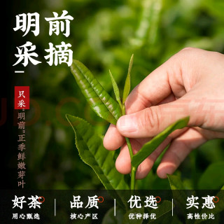 春困克星：安吉茶品鉴